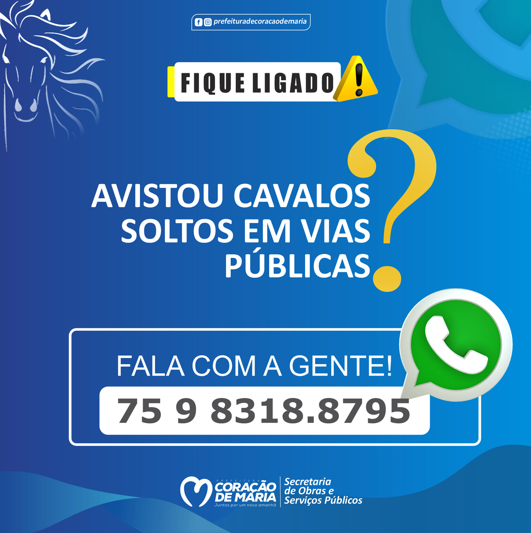 Animais soltos!